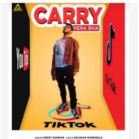 Carry Mera Bhai Gulshan Manewala, Preet Ghuman mp3 song ringtone, Carry Mera Bhai Gulshan Manewala, Preet Ghuman Ringtone Download - DjPunjab.Com.Mx