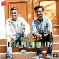 Tera Yeh Chehra AK Star, Prince T mp3 song ringtone, Tera Yeh Chehra AK Star, Prince T Ringtone Download - DjPunjab.Com.Mx