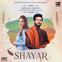 Shayar Sarmad Qadeer mp3 song ringtone, Shayar Sarmad Qadeer Ringtone Download - DjPunjab.Com.Mx