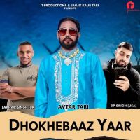 Dhokhebaaz Yaar Avtar Tari mp3 song ringtone, Dhokhebaaz Yaar Avtar Tari Ringtone Download - DjPunjab.Com.Mx