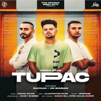 Tupac Arora Saab, Sultaan mp3 song ringtone, Tupac Arora Saab, Sultaan Ringtone Download - DjPunjab.Com.Mx