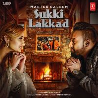 Sukki Lakkad Master Saleem mp3 song ringtone, Sukki Lakkad Master Saleem Ringtone Download - DjPunjab.Com.Mx