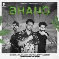 Bhang Bhinda Aujla, Gavy Dhaliwal mp3 song ringtone, Bhang Bhinda Aujla, Gavy Dhaliwal Ringtone Download - DjPunjab.Com.Mx