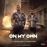 We Coming Musafir mp3 song ringtone, On My Own Musafir Ringtone Download - DjPunjab.Com.Mx