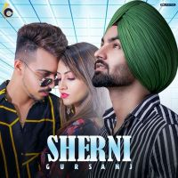 Sherni Gursanj mp3 song ringtone, Sherni Gursanj Ringtone Download - DjPunjab.Com.Mx