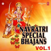 Je Tu Hi Na Puche Sada Haal Narender Chanchal mp3 song ringtone, Navratri Special Vol 1 Narender Chanchal Ringtone Download - DjPunjab.Com.Mx