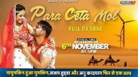 Paracetamol Anu Kadyan, Gagan Haryanvi mp3 song ringtone, Paracetamol Anu Kadyan, Gagan Haryanvi Ringtone Download - DjPunjab.Com.Mx
