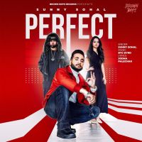 Perfect Sunny Sohal mp3 song ringtone, Perfect Sunny Sohal Ringtone Download - DjPunjab.Com.Mx