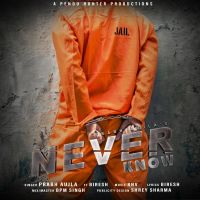 Never Know Prabh Aujla, Biresh mp3 song ringtone, Never Know Prabh Aujla, Biresh Ringtone Download - DjPunjab.Com.Mx