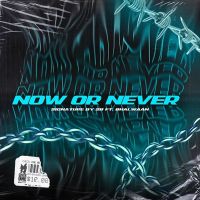 Download Now Or Never Bhalwaan full mp3 album