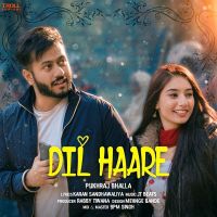 Dil Haare Pukhraj Bhalla mp3 song ringtone, Dil Haare Pukhraj Bhalla Ringtone Download - DjPunjab.Com.Mx