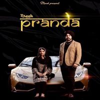 Paranda Nseeb mp3 song ringtone, Paranda Nseeb Ringtone Download - DjPunjab.Com.Mx
