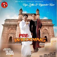Pre Wedding Raja Sidhu, Rajwinder Kaur mp3 song ringtone, Pre Wedding Raja Sidhu, Rajwinder Kaur Ringtone Download - DjPunjab.Com.Mx