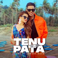 Tenu Ni Pata Guri mp3 song ringtone, Tenu Ni Pata Guri Ringtone Download - DjPunjab.Com.Mx