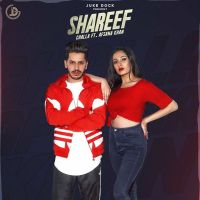 Shareef Challa, Afsana Khan mp3 song ringtone, Shareef Challa, Afsana Khan Ringtone Download - DjPunjab.Com.Mx