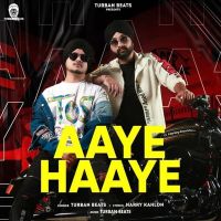 Aaye Haaye Turban Beats mp3 song ringtone, Aaye Haaye Turban Beats Ringtone Download - DjPunjab.Com.Mx