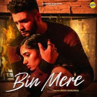 Bin Mere Laddi Dhaliwal mp3 song ringtone, Bin Mere Laddi Dhaliwal Ringtone Download - DjPunjab.Com.Mx