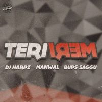 Teri Meri Manwal mp3 song ringtone, Teri Meri Manwal Ringtone Download - DjPunjab.Com.Mx