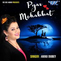 Tum Mere Baad Mohabbat Ko Taras Jaoge Anu Dubey mp3 song ringtone, Tum Mere Baad Mohabbat Ko Taras Jaoge Anu Dubey Ringtone Download - DjPunjab.Com.Mx