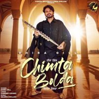 Chimta Bolda Dhira Gill mp3 song ringtone, Chimta Bolda Dhira Gill Ringtone Download - DjPunjab.Com.Mx
