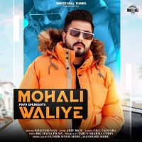 Mohali Waliye Pavii Ghuman mp3 song ringtone, Mohali Waliye Pavii Ghuman Ringtone Download - DjPunjab.Com.Mx