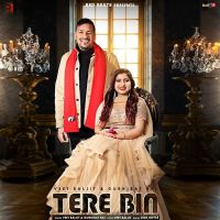 Tere Bin Veet Baljit, Gurkirat Raj mp3 song ringtone, Tere Bin Veet Baljit, Gurkirat Raj Ringtone Download - DjPunjab.Com.Mx
