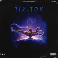 Tik Tok Nseeb mp3 song ringtone, Tik Tok Nseeb Ringtone Download - DjPunjab.Com.Mx