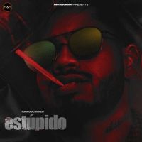Estupido Nav Dolorain mp3 song ringtone, Estupido Nav Dolorain Ringtone Download - DjPunjab.Com.Mx