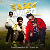 Saadi Marzi Harry Kahlon, Turban Beats mp3 song ringtone, Saadi Marzi Harry Kahlon, Turban Beats Ringtone Download - DjPunjab.Com.Mx