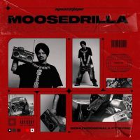 Moosedrilla Sidhu Moose Wala, Divine mp3 song ringtone, Moosedrilla Sidhu Moose Wala, Divine Ringtone Download - DjPunjab.Com.Mx