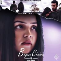Begane Chehre Amzee Sandhu mp3 song ringtone, Begane Chehre Amzee Sandhu Ringtone Download - DjPunjab.Com.Mx