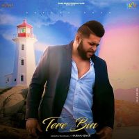 Tere Bin Harnav Brar mp3 song ringtone, Tere Bin Harnav Brar Ringtone Download - DjPunjab.Com.Mx