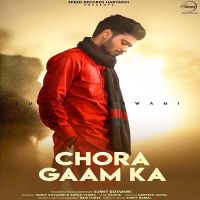 Chora Gaam Ka Sumit Goswami mp3 song ringtone, Chora Gaam Ka Sumit Goswami Ringtone Download - DjPunjab.Com.Mx