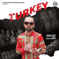 Turkey Manna Boy mp3 song ringtone, Turkey Manna Boy Ringtone Download - DjPunjab.Com.Mx