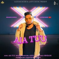 Aja Tu Addy mp3 song ringtone, Aja Tu Addy Ringtone Download - DjPunjab.Com.Mx
