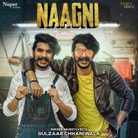 Naagni Gulzaar Chhaniwala mp3 song ringtone, Naagni Gulzaar Chhaniwala Ringtone Download - DjPunjab.Com.Mx
