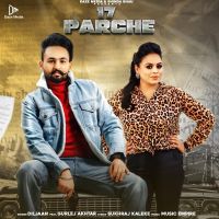 17 Parche Gurlej Akhtar, Diljaan mp3 song ringtone, 17 Parche Gurlej Akhtar, Diljaan Ringtone Download - DjPunjab.Com.Mx