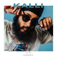Kalli Fateh mp3 song ringtone, Kalli Fateh Ringtone Download - DjPunjab.Com.Mx