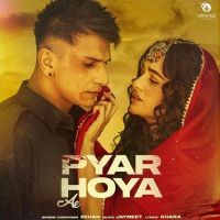 Pyar Hoya Ae Zehan mp3 song ringtone, Pyar Hoya Ae Zehan Ringtone Download - DjPunjab.Com.Mx