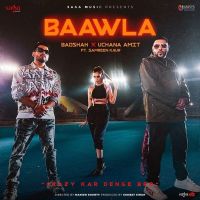 Baawla Badshah, Uchana Amit mp3 song ringtone, Baawla Badshah, Uchana Amit Ringtone Download - DjPunjab.Com.Mx