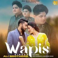 Wapis Ali Brothers mp3 song ringtone, Wapis Ali Brothers Ringtone Download - DjPunjab.Com.Mx