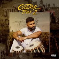 Goli Jatt Ne Kacheri Ch Chaloni AK, Labh Janjua mp3 song ringtone, Cultural Tings 2 AK, Labh Janjua Ringtone Download - DjPunjab.Com.Mx