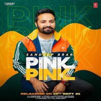Pink Pink Sandeep Brar mp3 song ringtone, Pink Pink Sandeep Brar Ringtone Download - DjPunjab.Com.Mx
