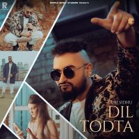 Dil Todta Gurj Sidhu mp3 song ringtone, Dil Todta Gurj Sidhu Ringtone Download - DjPunjab.Com.Mx