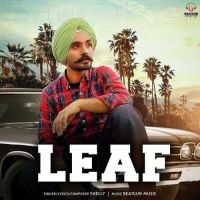 Leaf Shelly Turke mp3 song ringtone, Leaf Shelly Turke Ringtone Download - DjPunjab.Com.Mx