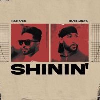 Shinin Tegi Pannu mp3 song ringtone, Shinin Tegi Pannu Ringtone Download - DjPunjab.Com.Mx
