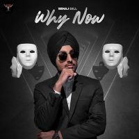 Why Now Sehaj Gill mp3 song ringtone, Why Now Sehaj Gill Ringtone Download - DjPunjab.Com.Mx