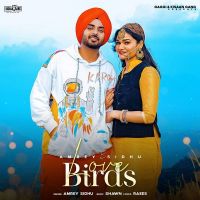 Love Birds Amrey Sidhu mp3 song ringtone, Love Birds Amrey Sidhu Ringtone Download - DjPunjab.Com.Mx