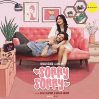 Sorry Sorry Raashi Sood, Zaraan mp3 song ringtone, Sorry Sorry Raashi Sood, Zaraan Ringtone Download - DjPunjab.Com.Mx
