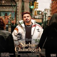 Shehar Chandigarh Chale An Yasir Hussain mp3 song ringtone, Shehar Chandigarh Chale An Yasir Hussain Ringtone Download - DjPunjab.Com.Mx